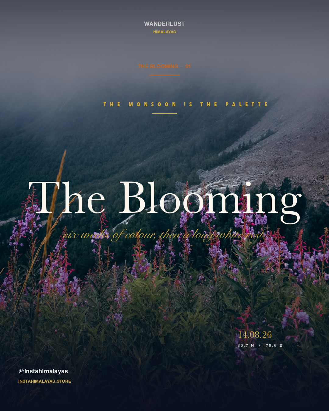 The Blooming — misty wildflowers in the Himalayas, Wanderlust Himalayas brand post