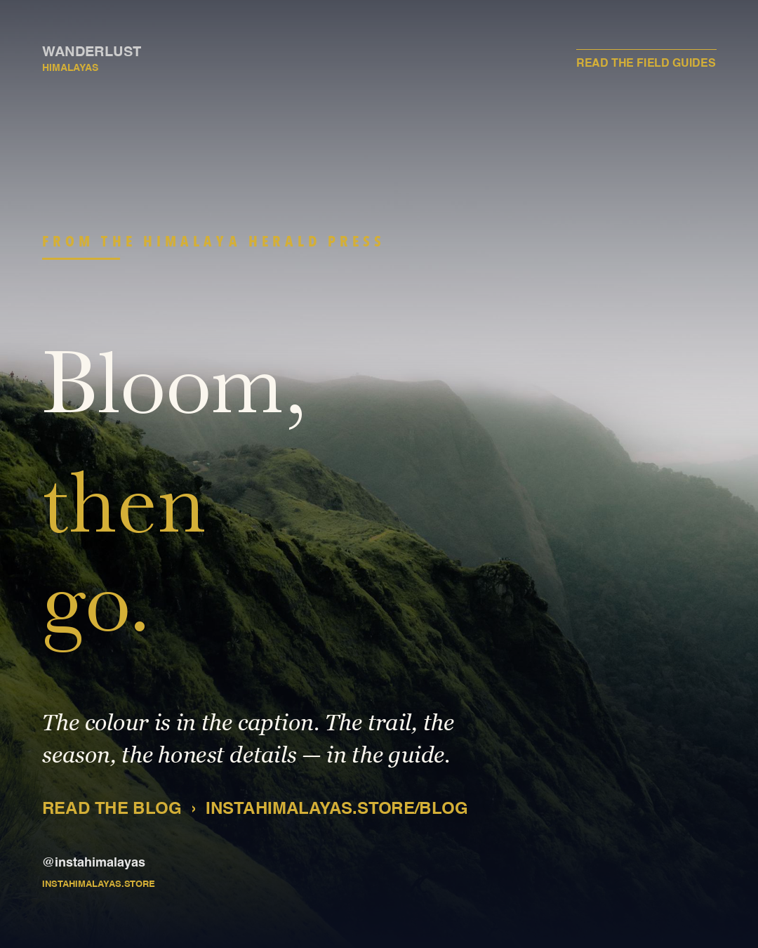 Bloom then go — read the Valley of Flowers field guide on the blog