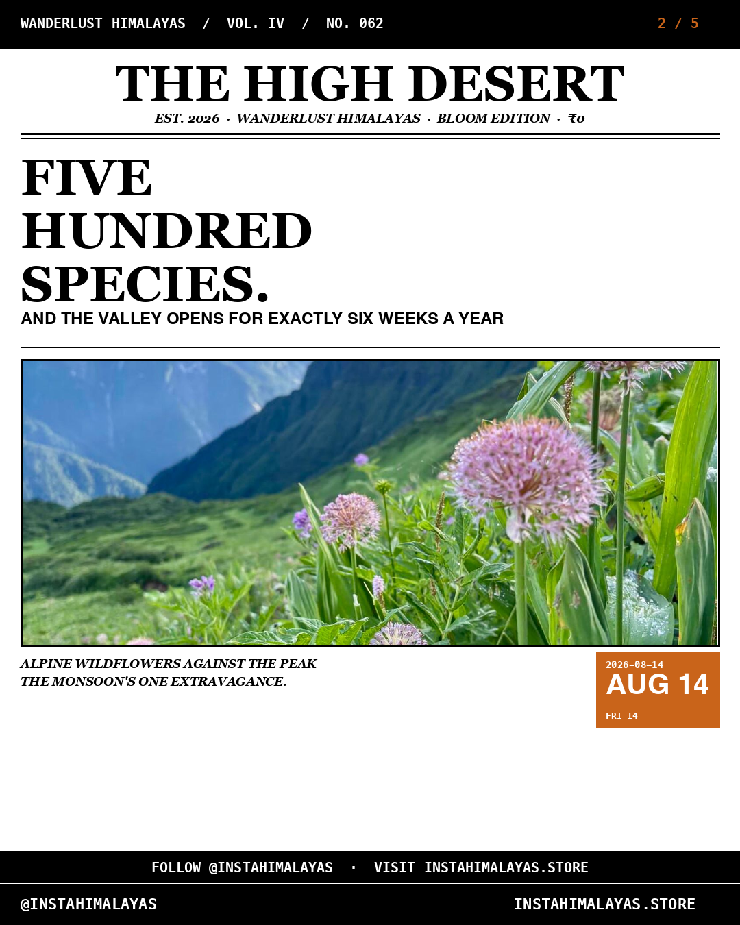 Alpine wildflowers against the peak — Valley of Flowers trek guide
