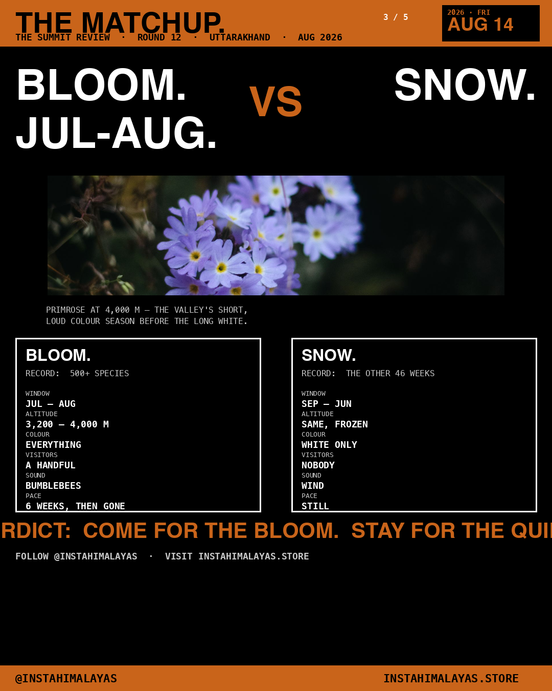BLOOM versus SNOW — Valley of Flowers season comparison