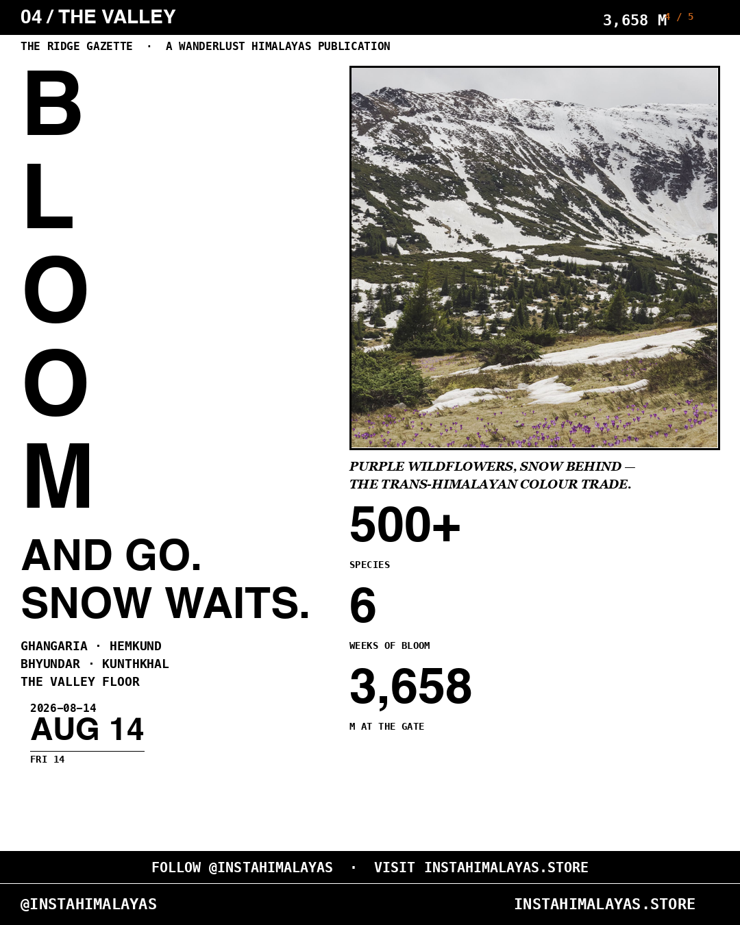 BLOOM AND GO — Valley of Flowers stats: 500+ species, 6 weeks, 3658 metres