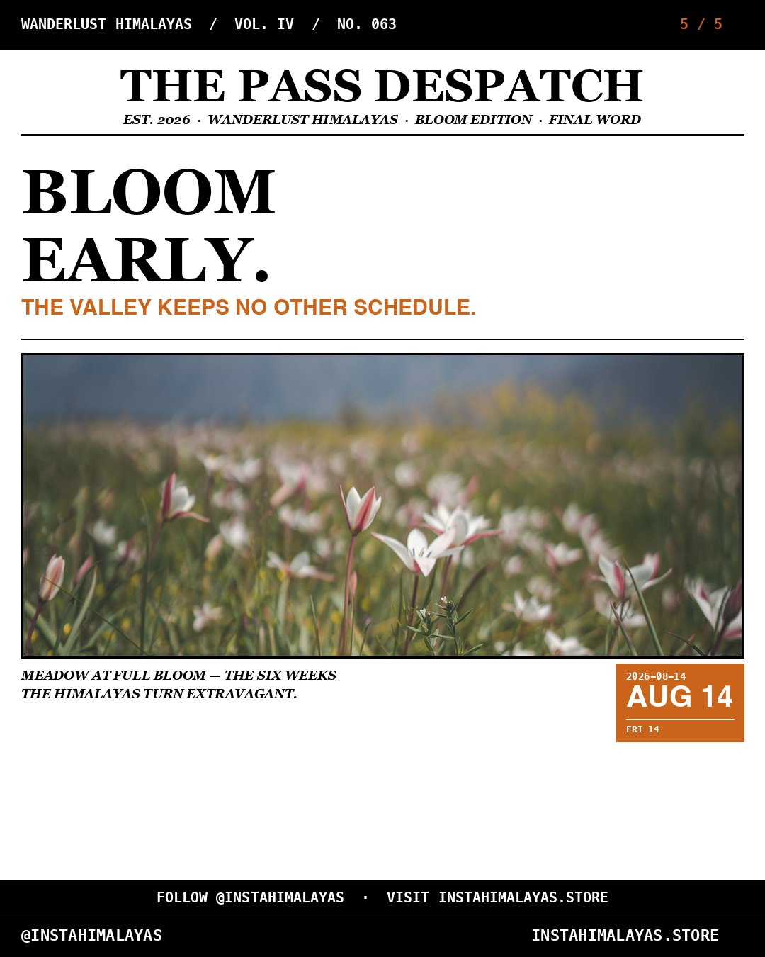 BLOOM EARLY — meadow at full bloom in the Valley of Flowers